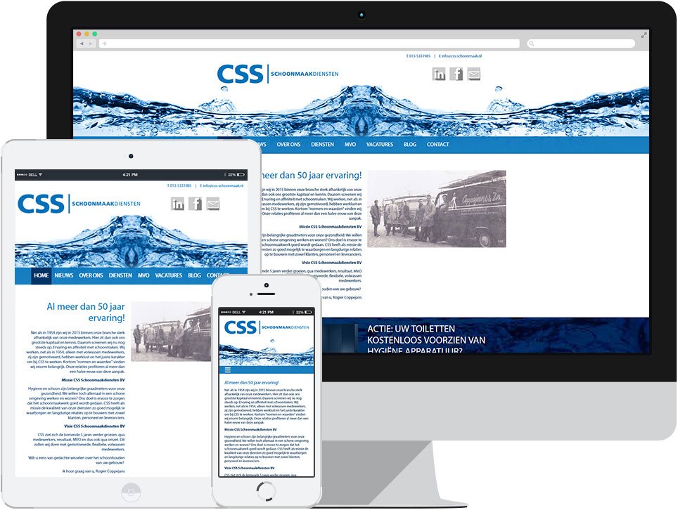 webdesign CSS-Schoonmaak Oisterwijk door Robiz.nl Webdesign & Webhosting